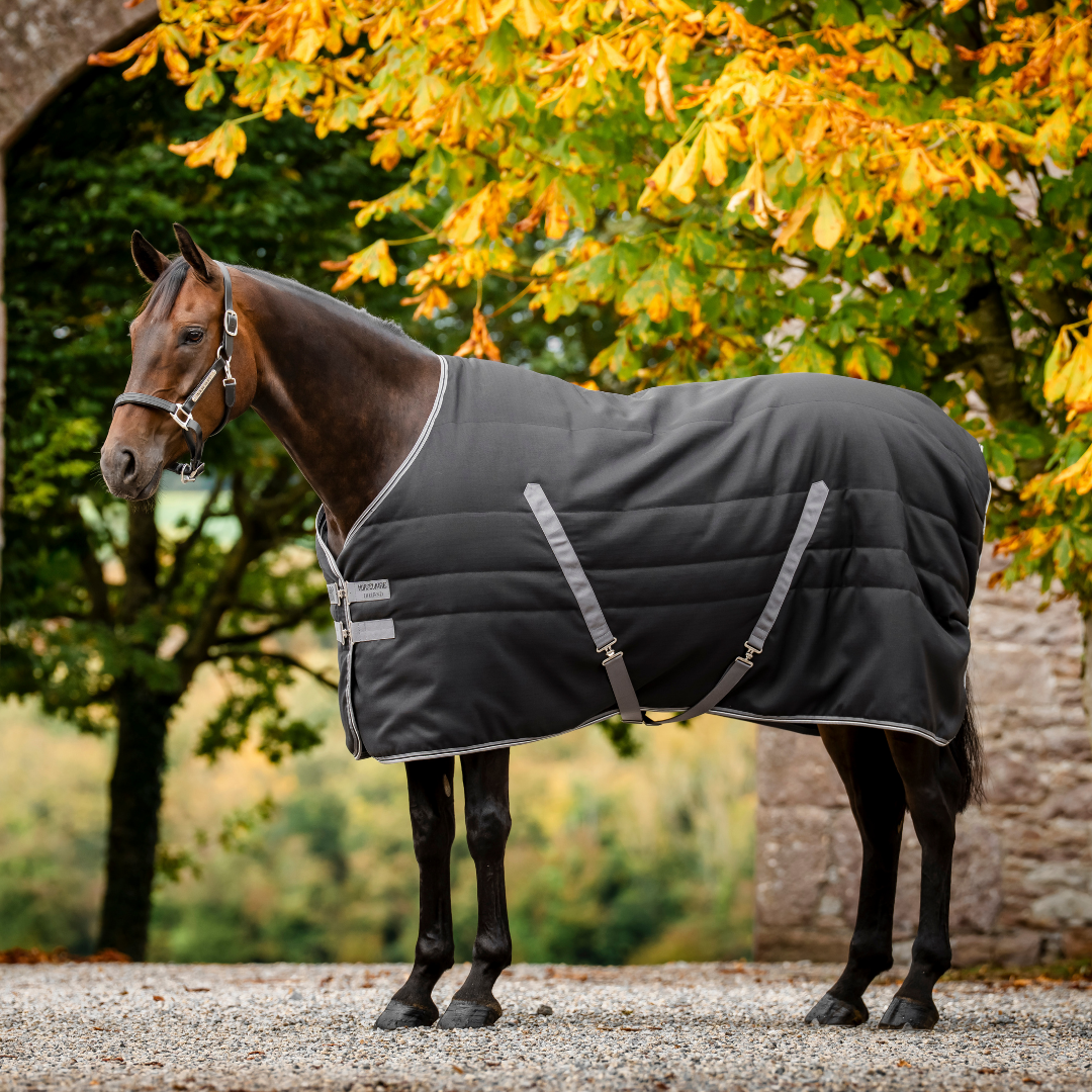RAMBO STABLE RUG 400GR - 10