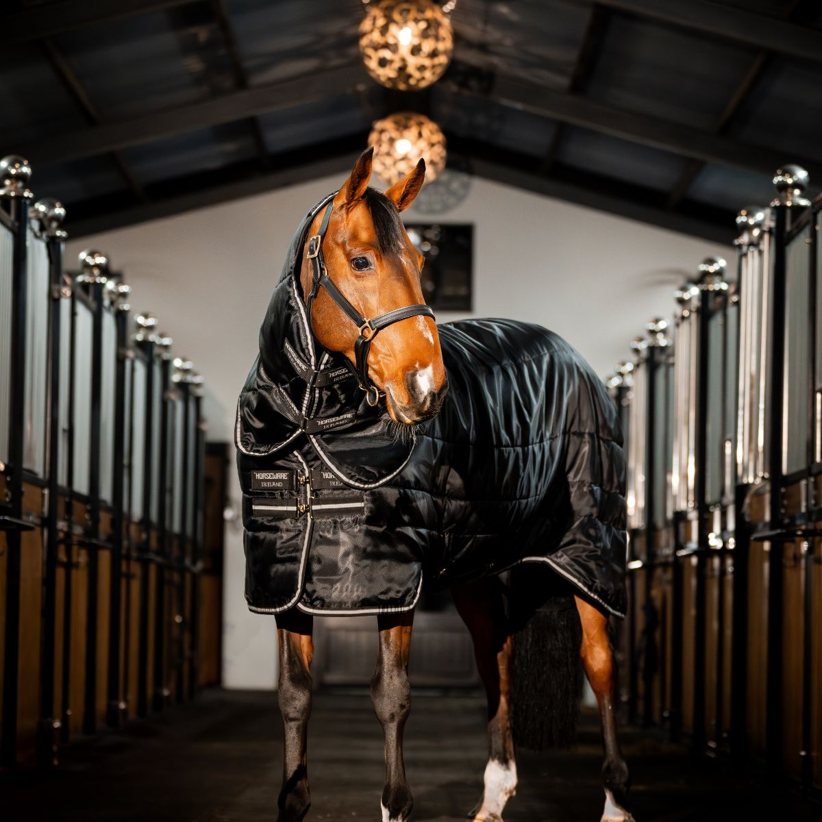 HORSEWARE EASY-LAYER STABLE HOOD 100GRAM - 2