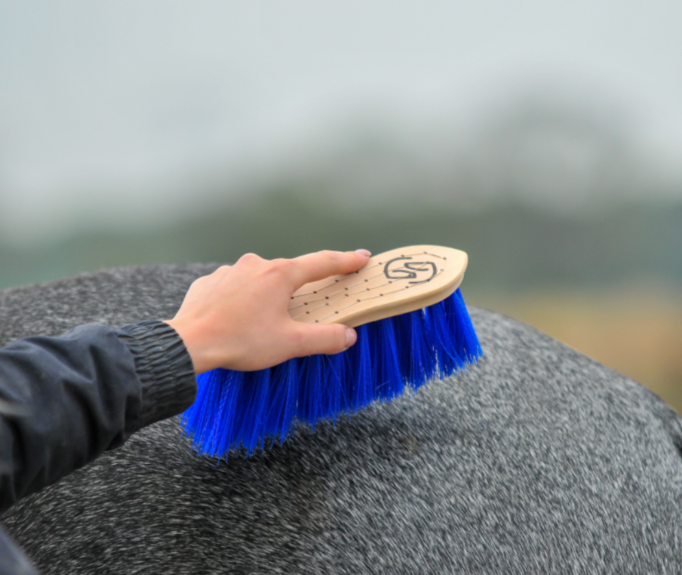 ONE EQUESTRIAN ONE BRUSH MEDIUM - 4