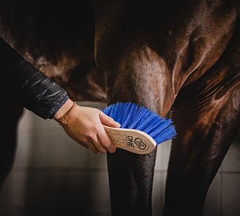 ONE EQUESTRIAN ONE BRUSH MEDIUM