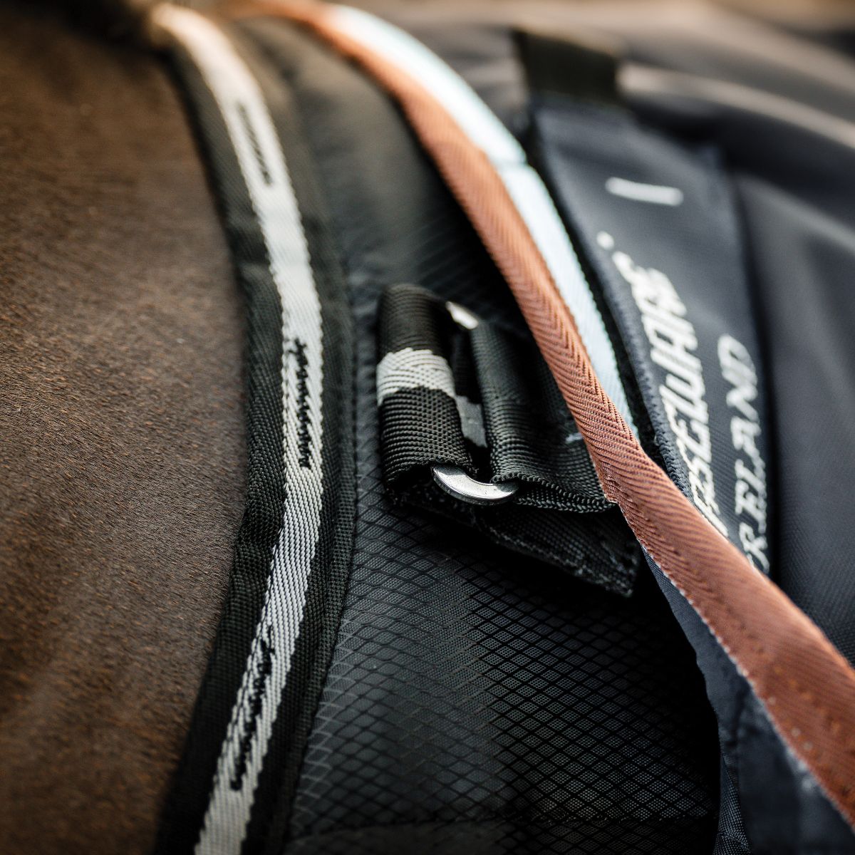 HORSEWARE EASY-LAYER STABLE PLUS 200GRAM - 5