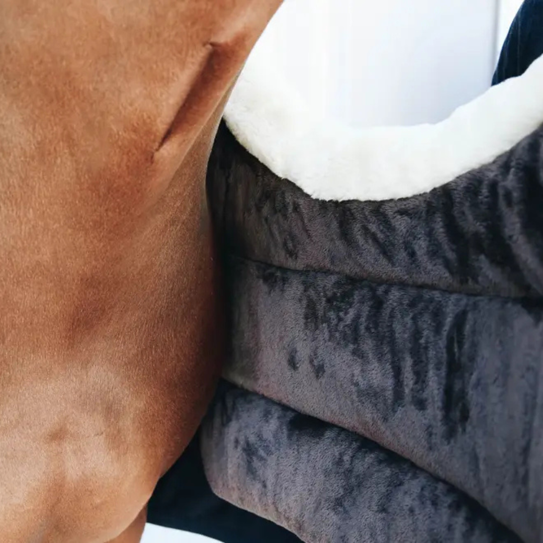 KENTUCKY HORSE BIB WINTER - 4