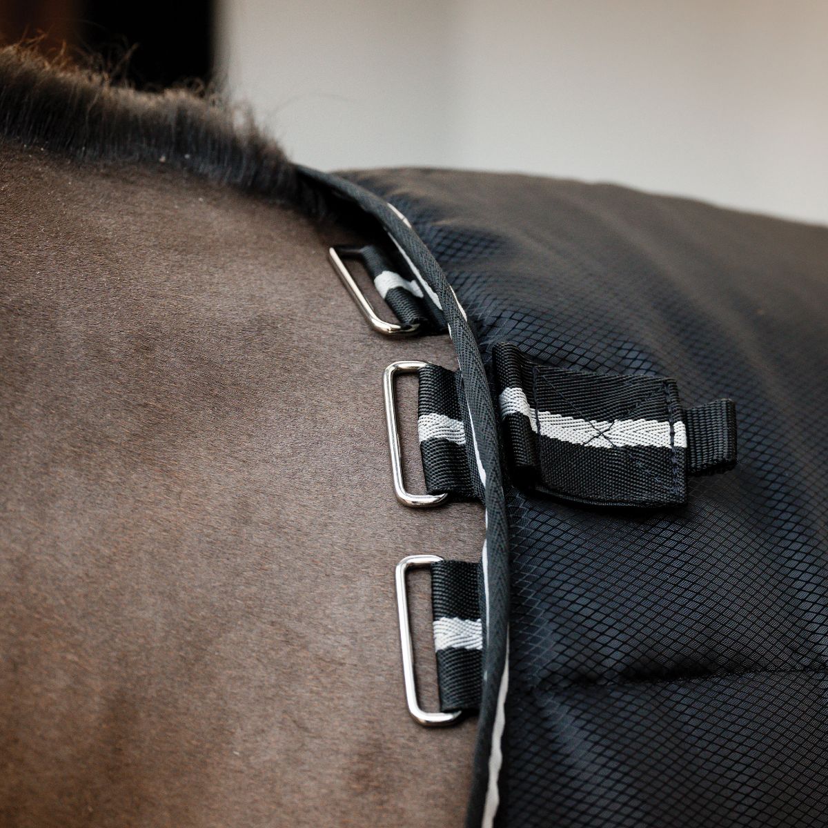 HORSEWARE EASY-LAYER STABLE PLUS 400GRAM - 4