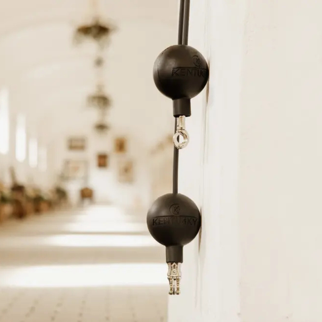 KENTUCKY RUBBER BALL PROTECTION WALL & LEAD  - 3