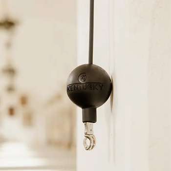 KENTUCKY RUBBER BALL PROTECTION WALL & LEAD 