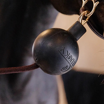 KENTUCKY RUBBER BALL PROTECTION WALL & LEAD 