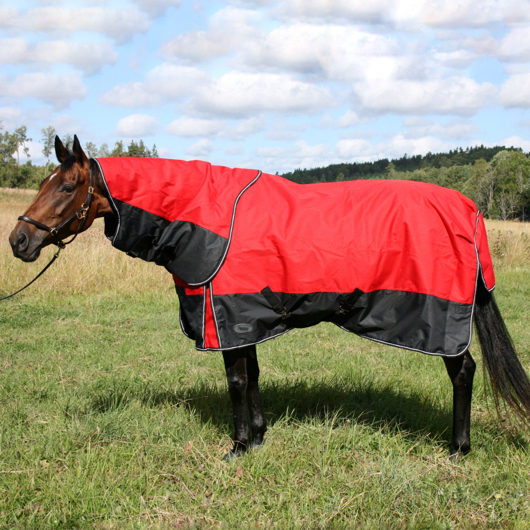 SWEDISH COLLECTION (LIPPO) 150GR PONY BLANKET 1200D WITH REMOVABLE NECK . - 2
