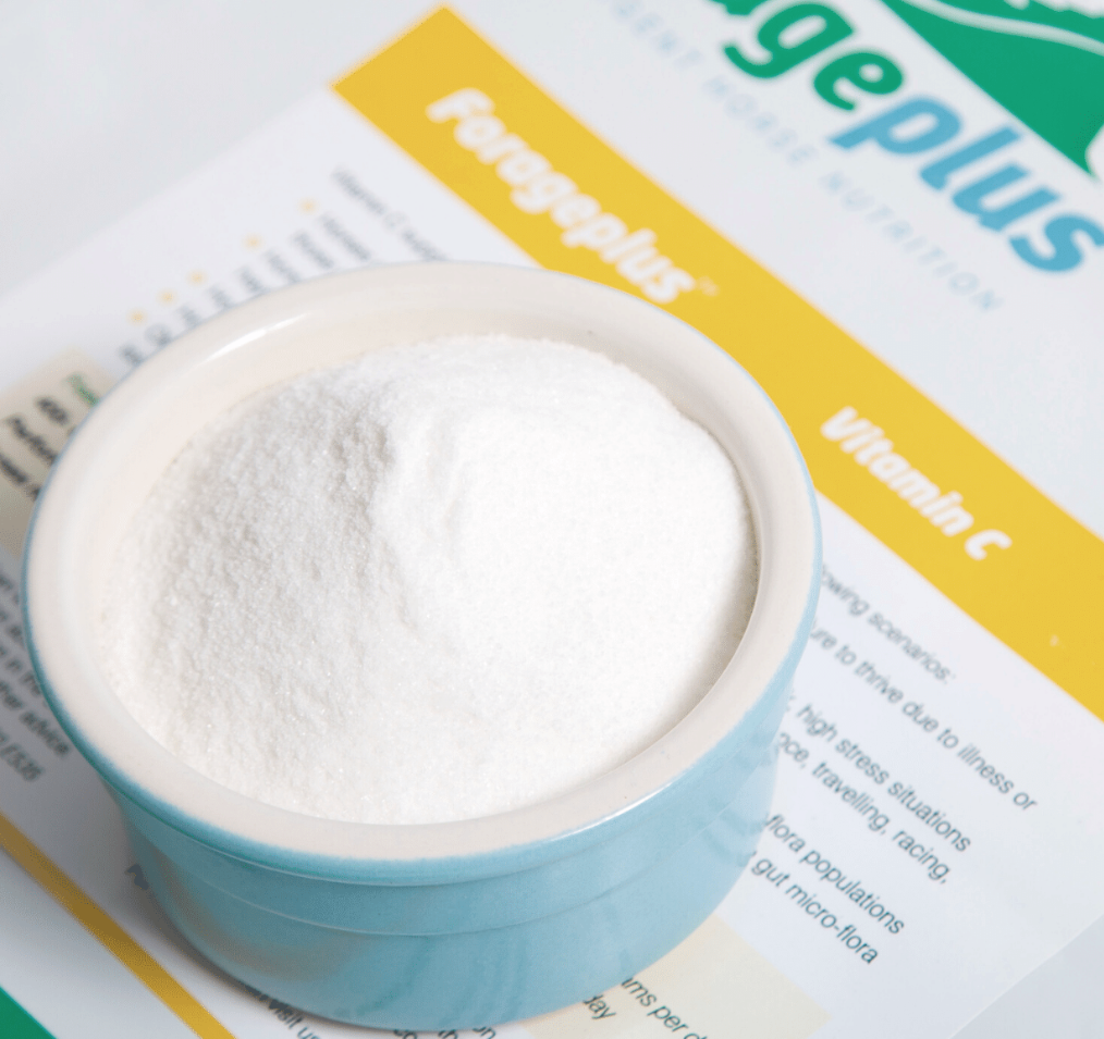 FORAGEPLUS VITAMIN C - 2