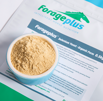 FORAGEPLUS SELENIUM | ORGANIC