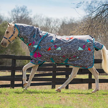 AMIGO PONY PLUS 0gr OUTGOING