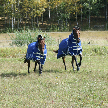SWEDISH COLLECTION (LIPPO) 200GR PONY BLANKET 600D WITH REMOVABLE NECK.