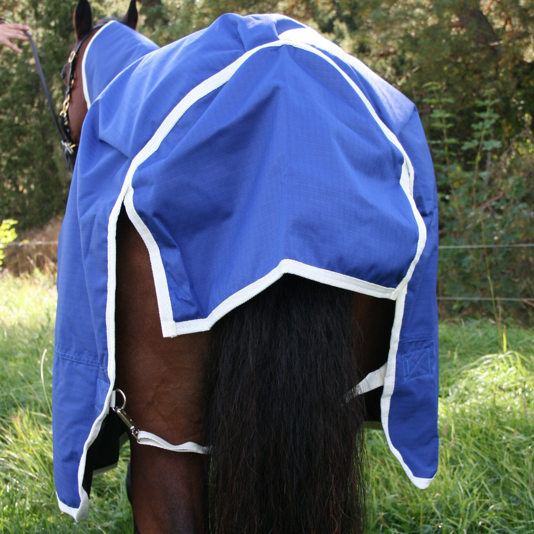 SWEDISH COLLECTION (LIPPO) 200GR PONY BLANKET 600D WITH REMOVABLE NECK. - 5