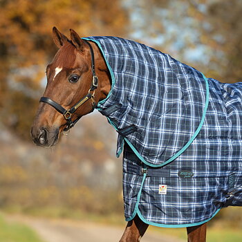 RHINO STABLE HOOD 150GR (MATCHAR RHINO STABLE VL 450G) UTGÅENDE FÄRG