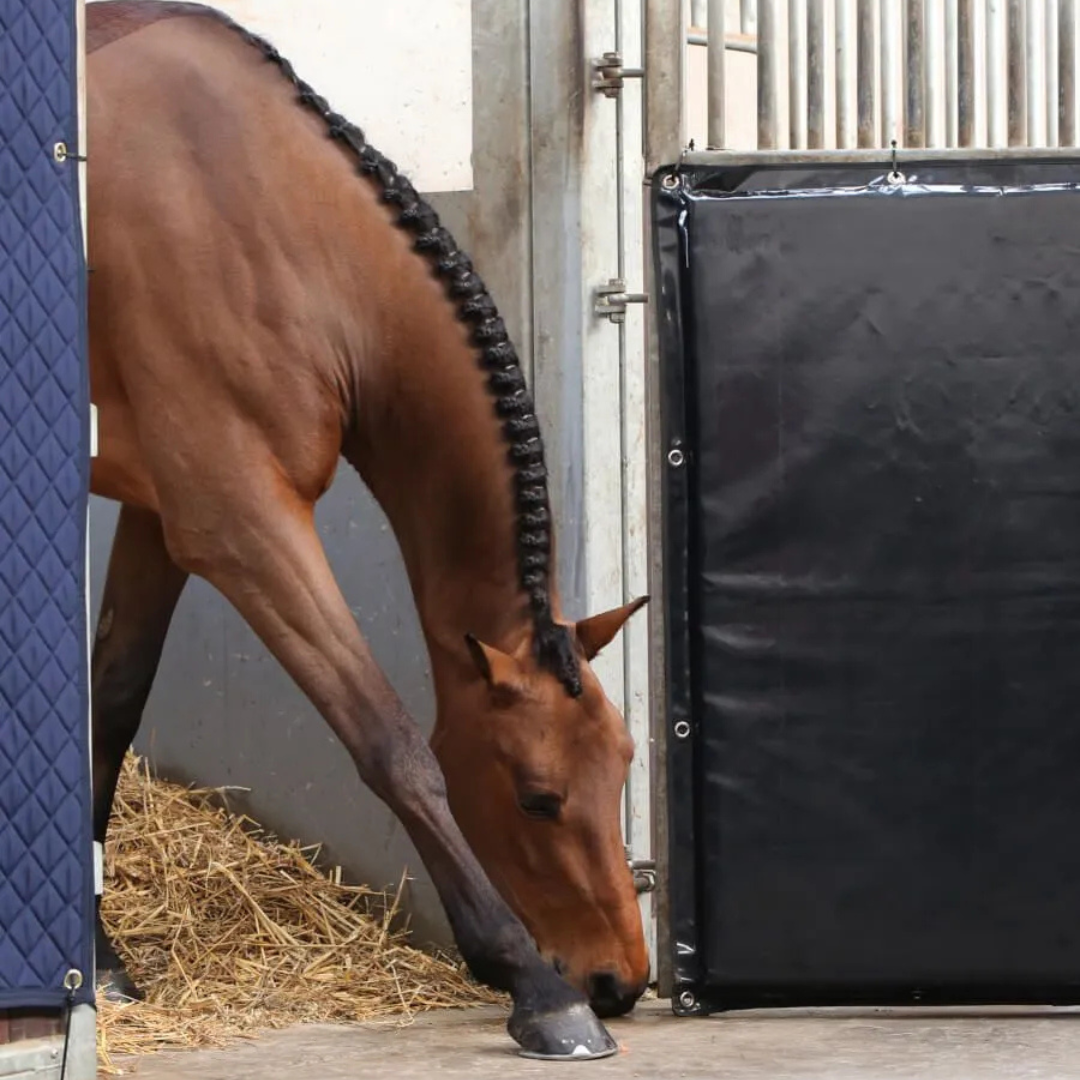 KENTUCKY KICK PAD 300x120cm - 2