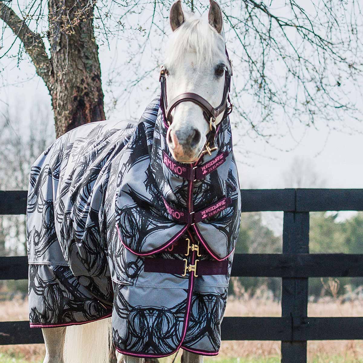 AMIGO PONY PLUS 200gr OUTGOING - 6