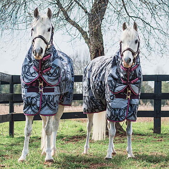 AMIGO PONY PLUS 200gr OUTGOING