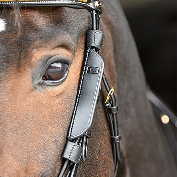 EQUALITY LINE FOKUS BLINKERS  WITH PIN