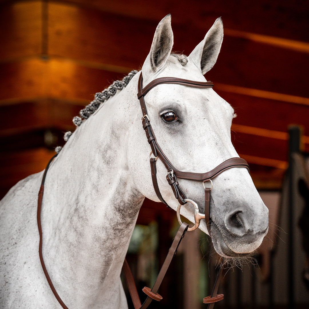 HORSEWARE MICKLEM 2 COMPETITION BRIDLE WITH REINS - 3