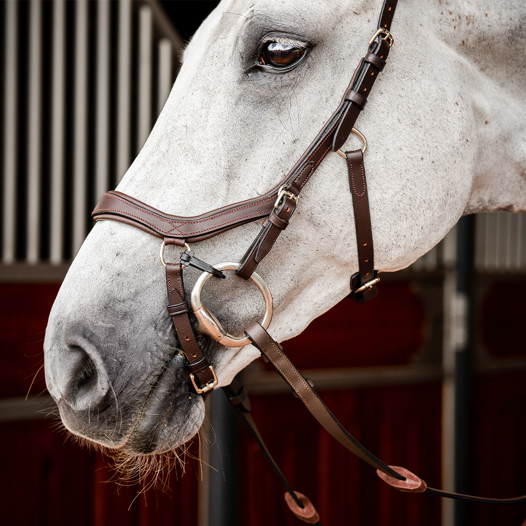 HORSEWARE MICKLEM 2 COMPETITION BRIDLE WITH REINS - 6