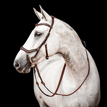 HORSEWARE MICKLEM 2 COMPETITION BRIDLE WITH REINS