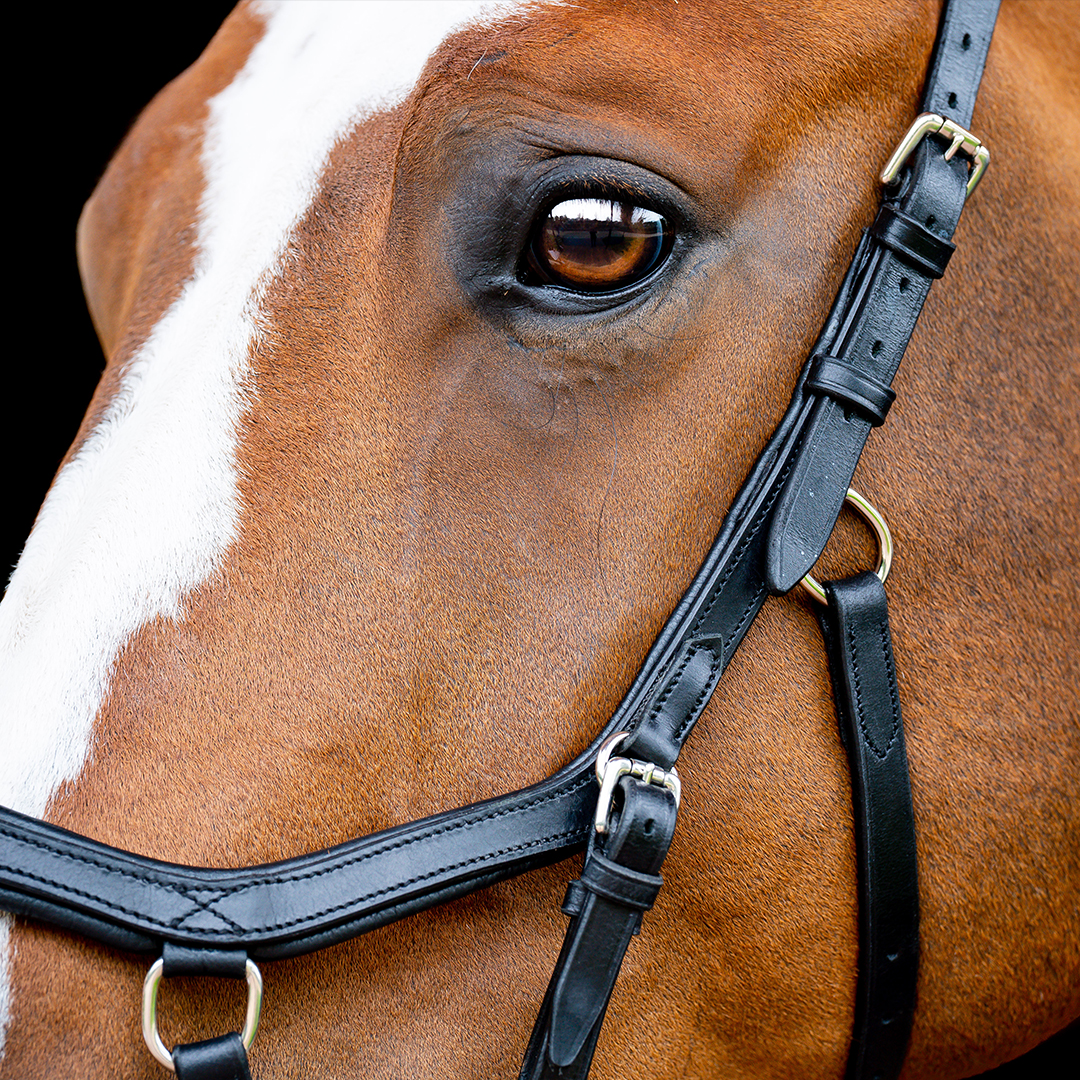 HORSEWARE MICKLEM 2 COMPETITION BRIDLE WITH REINS - 4