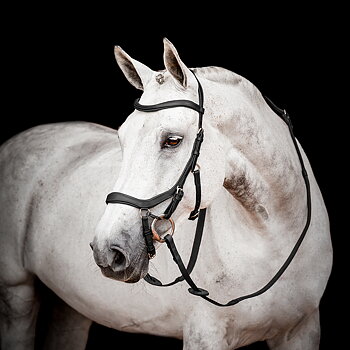 HORSEWARE MICKLEM 2 COMPETITION BRIDLE WITH REINS