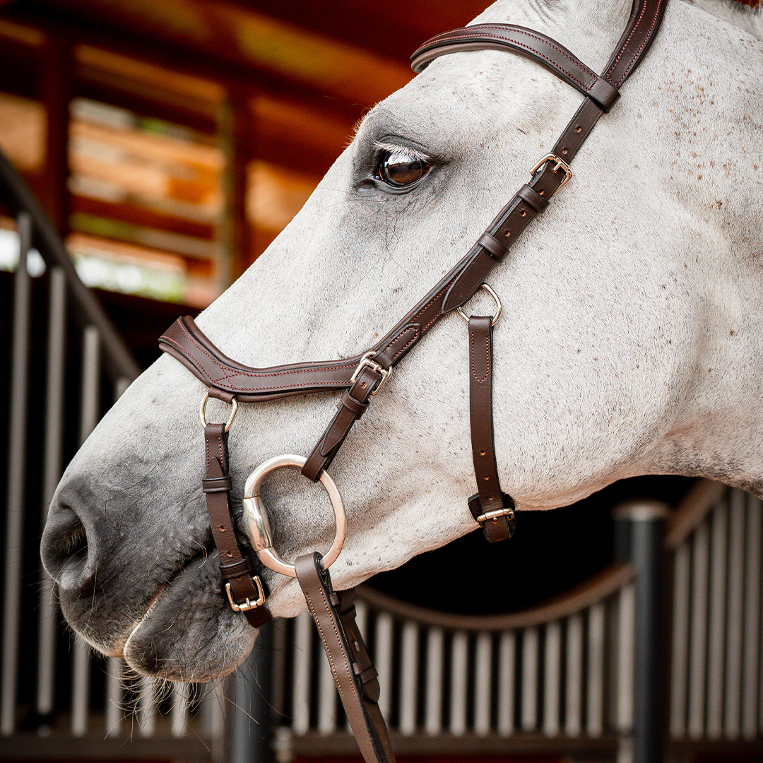 HORSEWARE MICKLEM 2 COMPETITION BRIDLE WITH REINS - 5