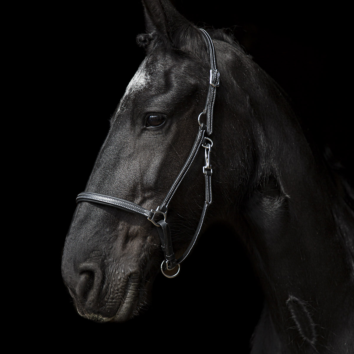 SWEDISH COLLECTION GRIMMA GROOMING - 6