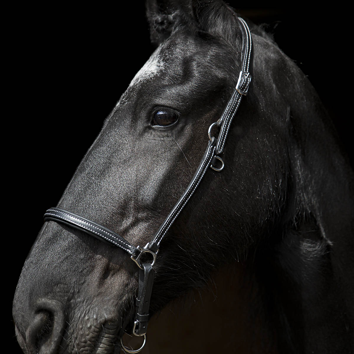 SWEDISH COLLECTION GRIMMA GROOMING - 7