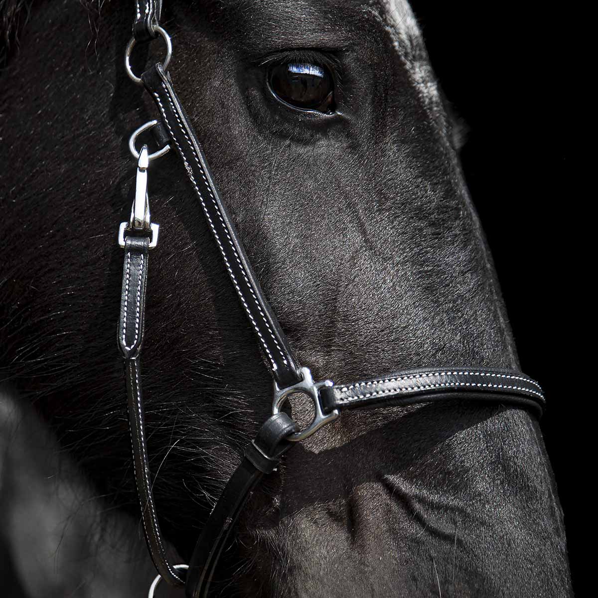 SWEDISH COLLECTION GRIMMA GROOMING - 4