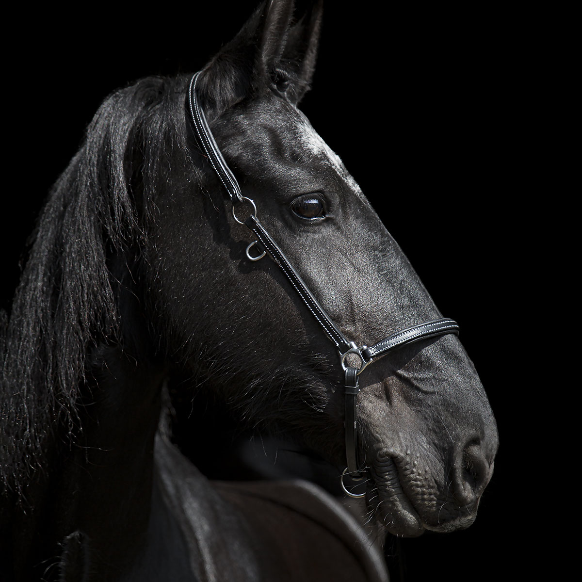 SWEDISH COLLECTION GRIMMA GROOMING - 2