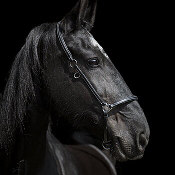 SWEDISH COLLECTION GRIMMA GROOMING