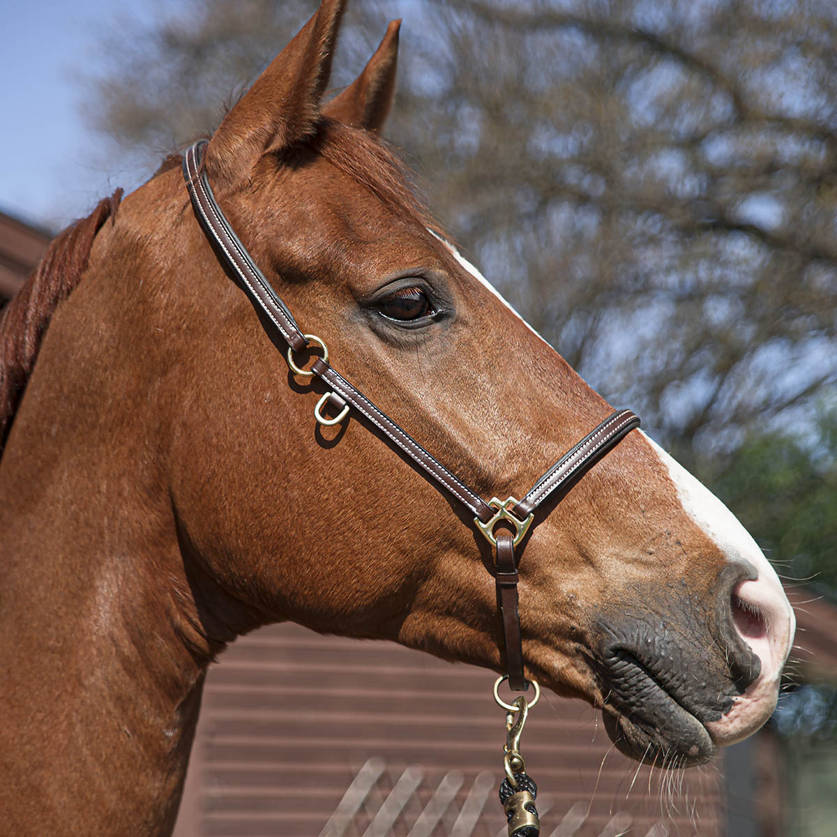 SWEDISH COLLECTION GRIMMA GROOMING - 3