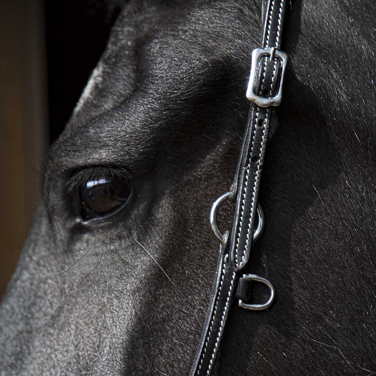 SWEDISH COLLECTION GRIMMA GROOMING - 9