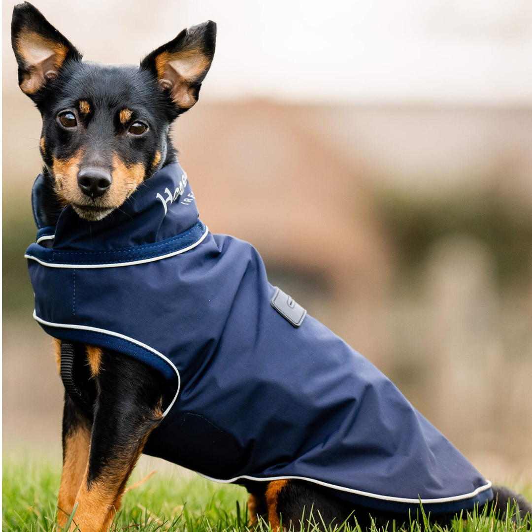 HORSEWARE SIGNATURE DOG RAINCOAT - 2
