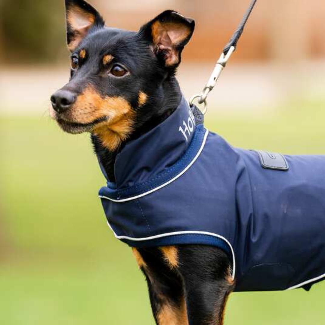 HORSEWARE SIGNATURE DOG RAINCOAT - 3