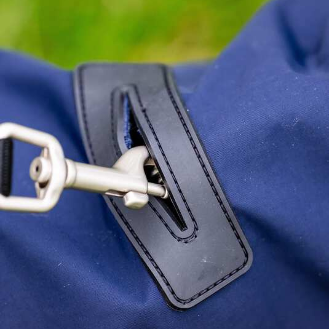 HORSEWARE SIGNATURE DOG RAINCOAT - 4