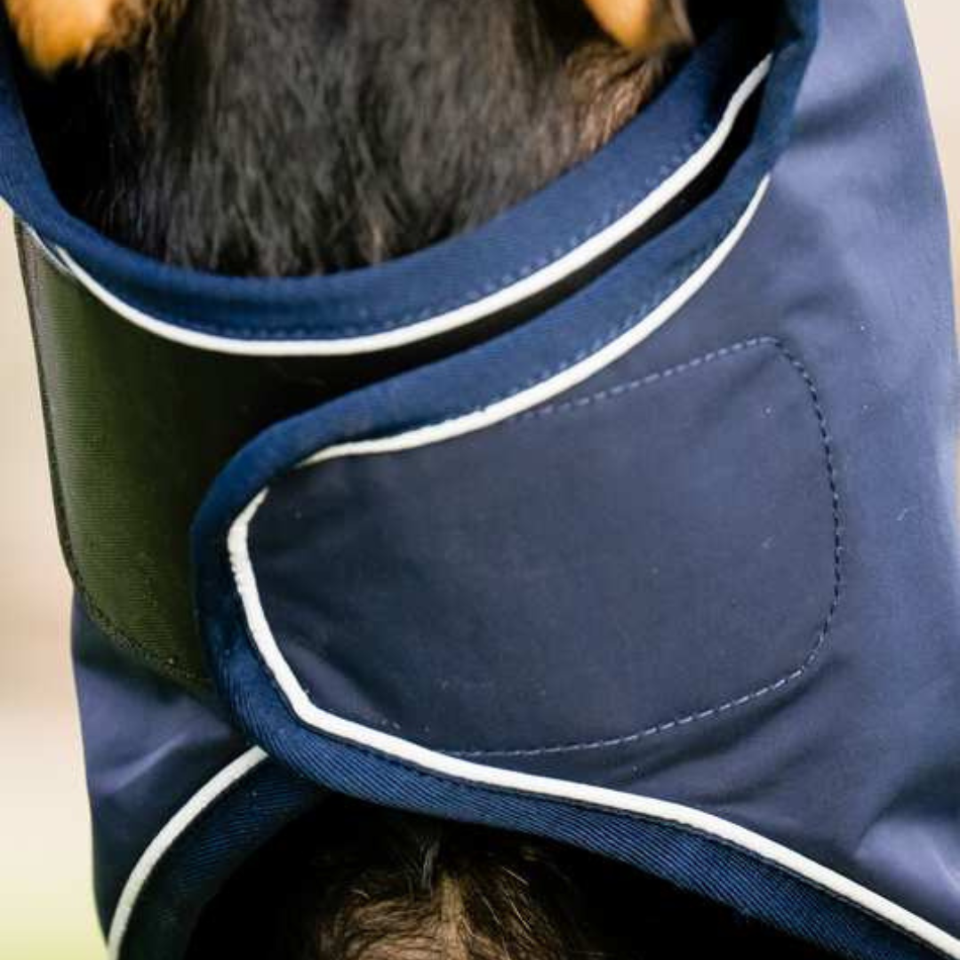HORSEWARE SIGNATURE DOG RAINCOAT - 6
