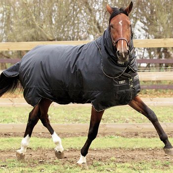 HORSEWARE TROT PLUS 350gram
