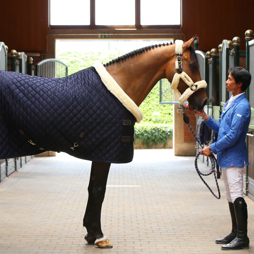 KENTUCKY SHOW RUG - NAVY - 3