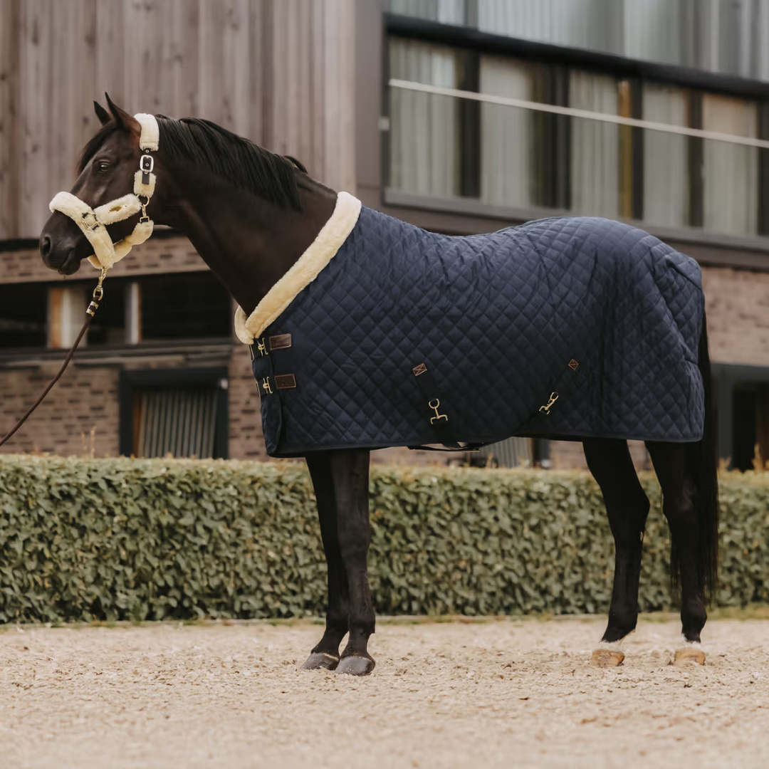 KENTUCKY SHOW RUG - NAVY - 4