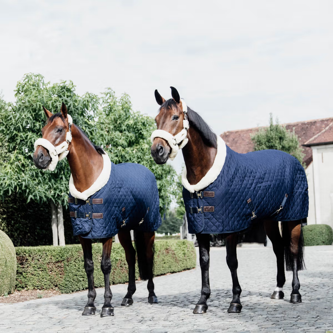 KENTUCKY SHOW RUG - NAVY