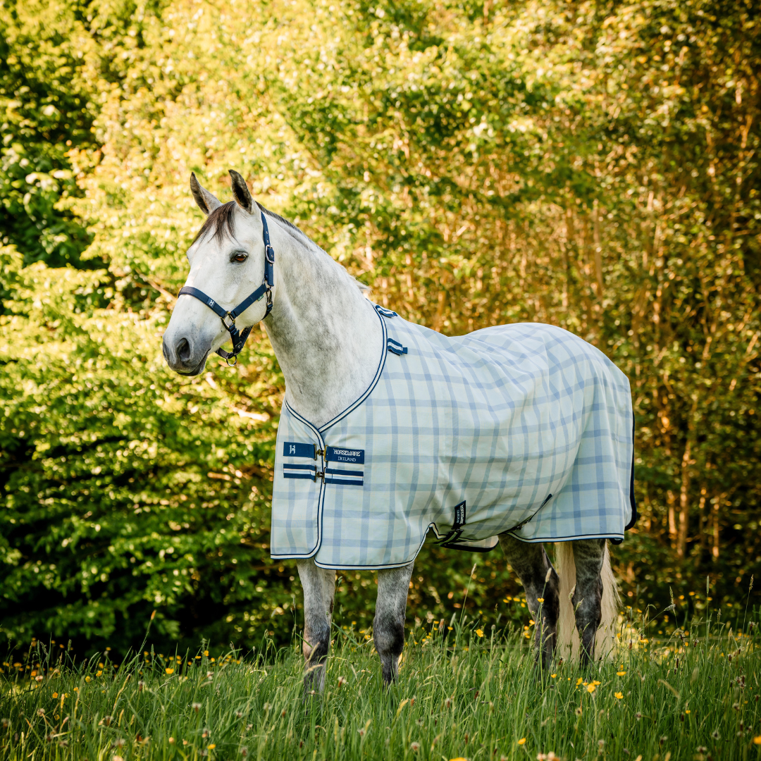 HORSEWARE NEWMARKET PONY FLY SHEET OUTGOING COLOR - 4