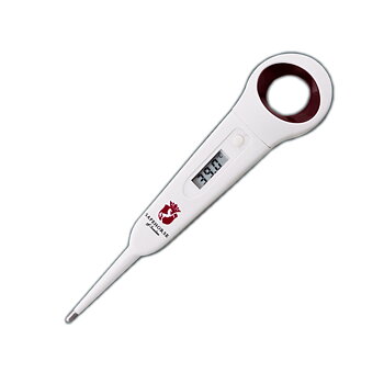 SAFEHORSE TERMOMETER