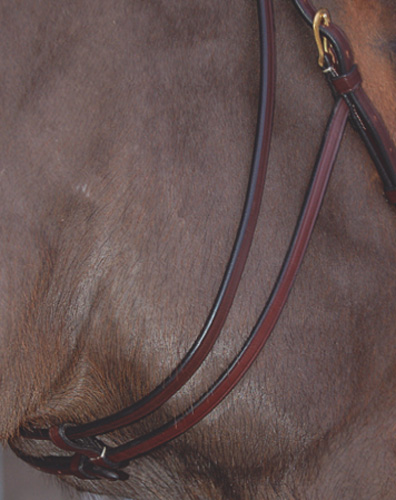 DYON SIDOSTYCKEN TILL HACKAMORE - 4