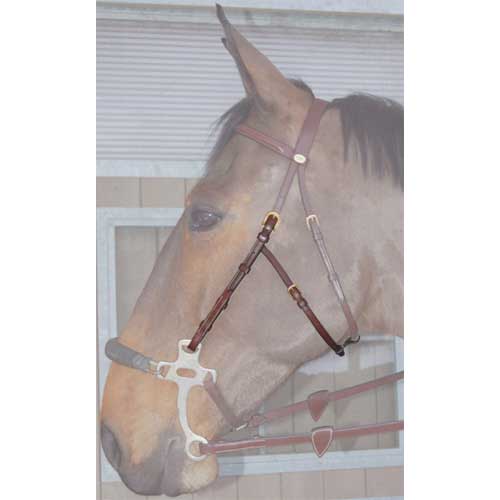DYON SIDOSTYCKEN TILL HACKAMORE - 3