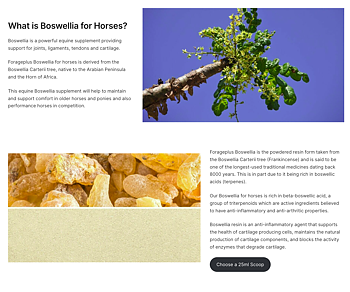 FORAGEPLUS BOSWELLIA