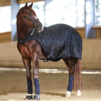 BACK ON TRACK HORSE BLANKET WALKING MACHINE