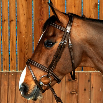 DYON WORKING FLASH NOSEBAND BRIDLE