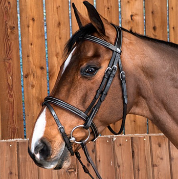 DYON WORKING FLASH NOSEBAND BRIDLE